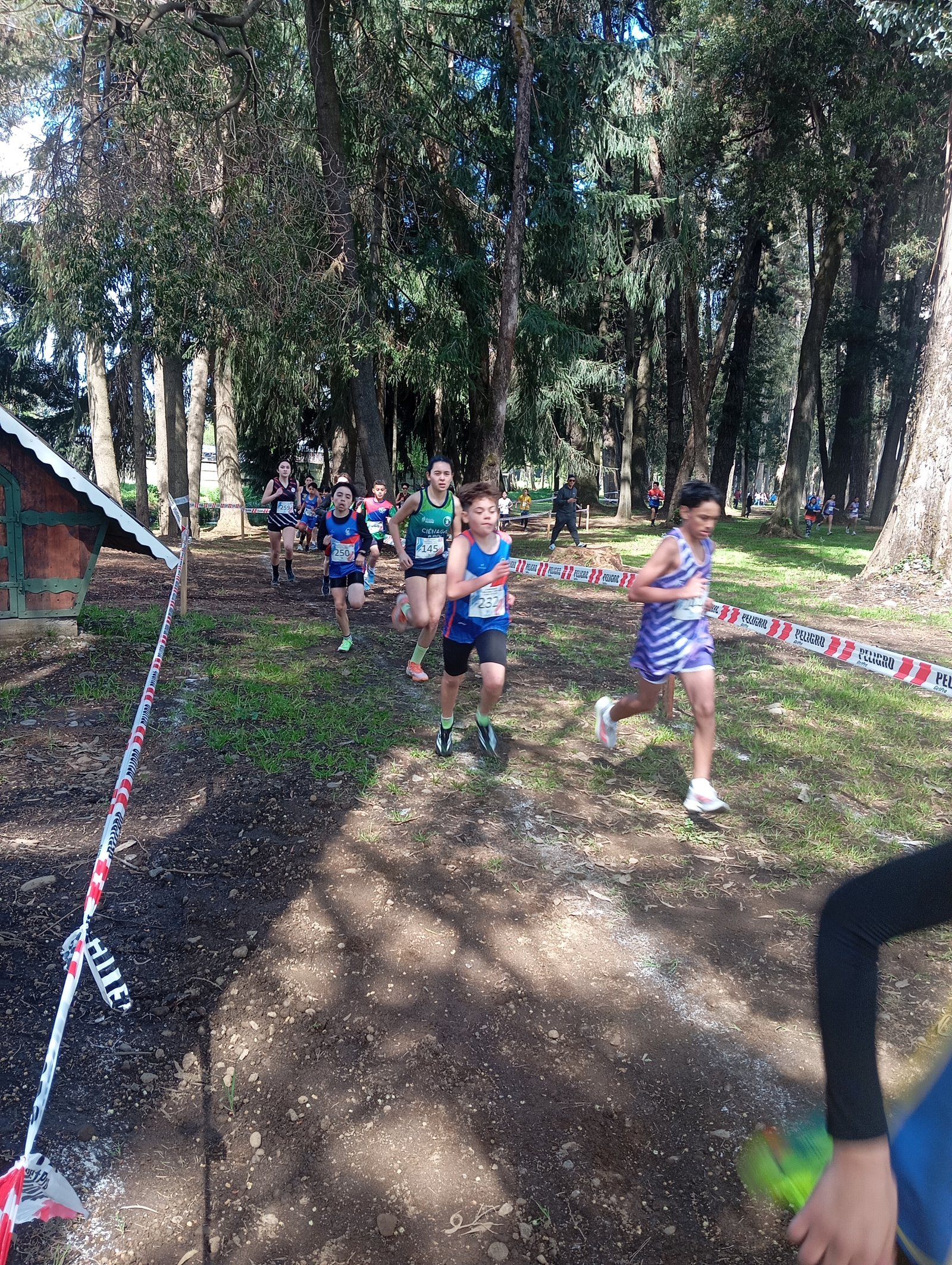 68d98eed0e953_IMG_20250927_141614 (1)