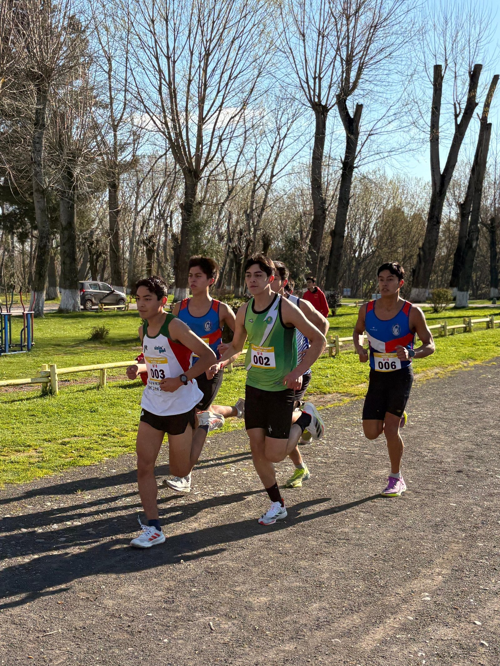 1756744379_19_Cross_Country_Regional__246_